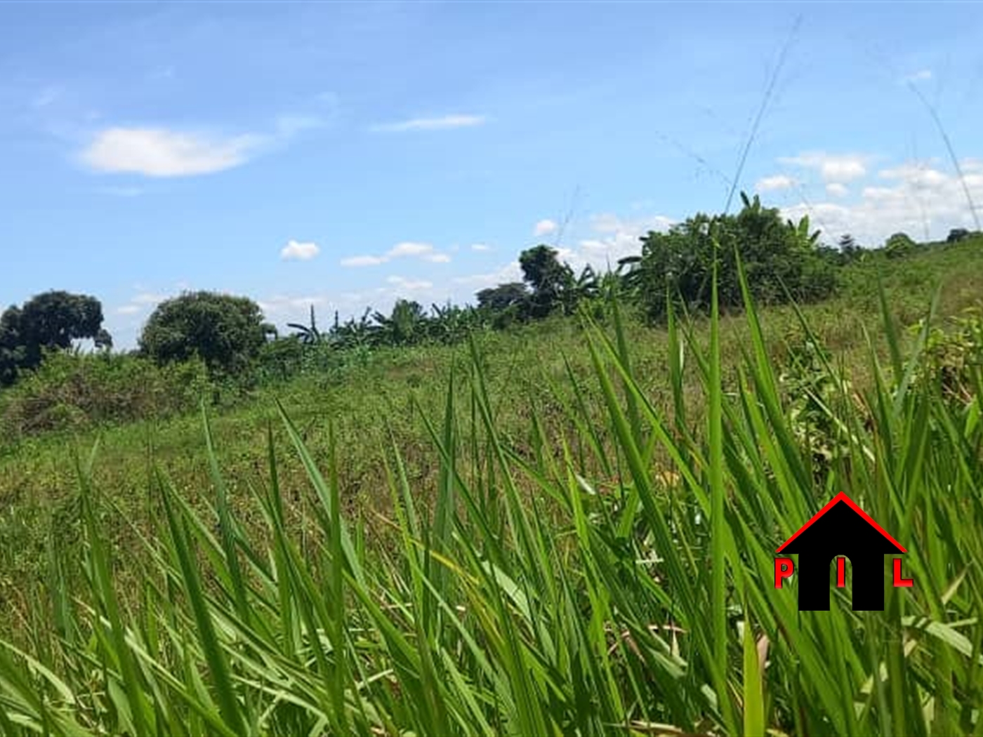Agricultural Land for sale in Kalagala Luweero