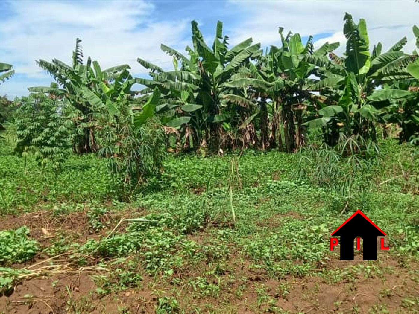 Residential Land for sale in Koko Luweero