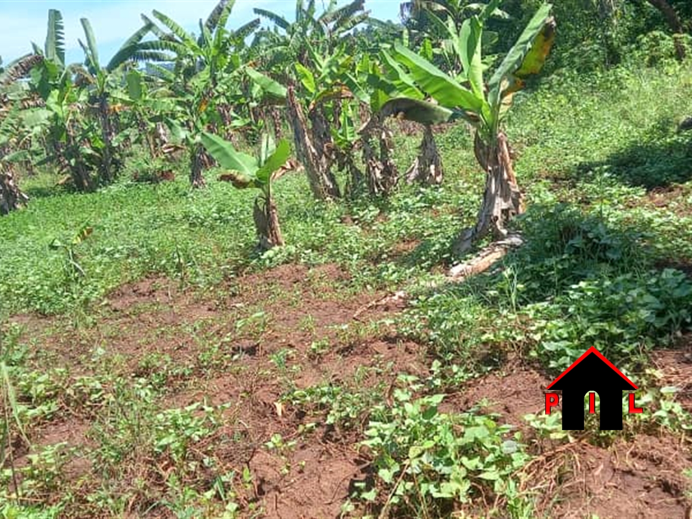 Residential Land for sale in Koko Luweero