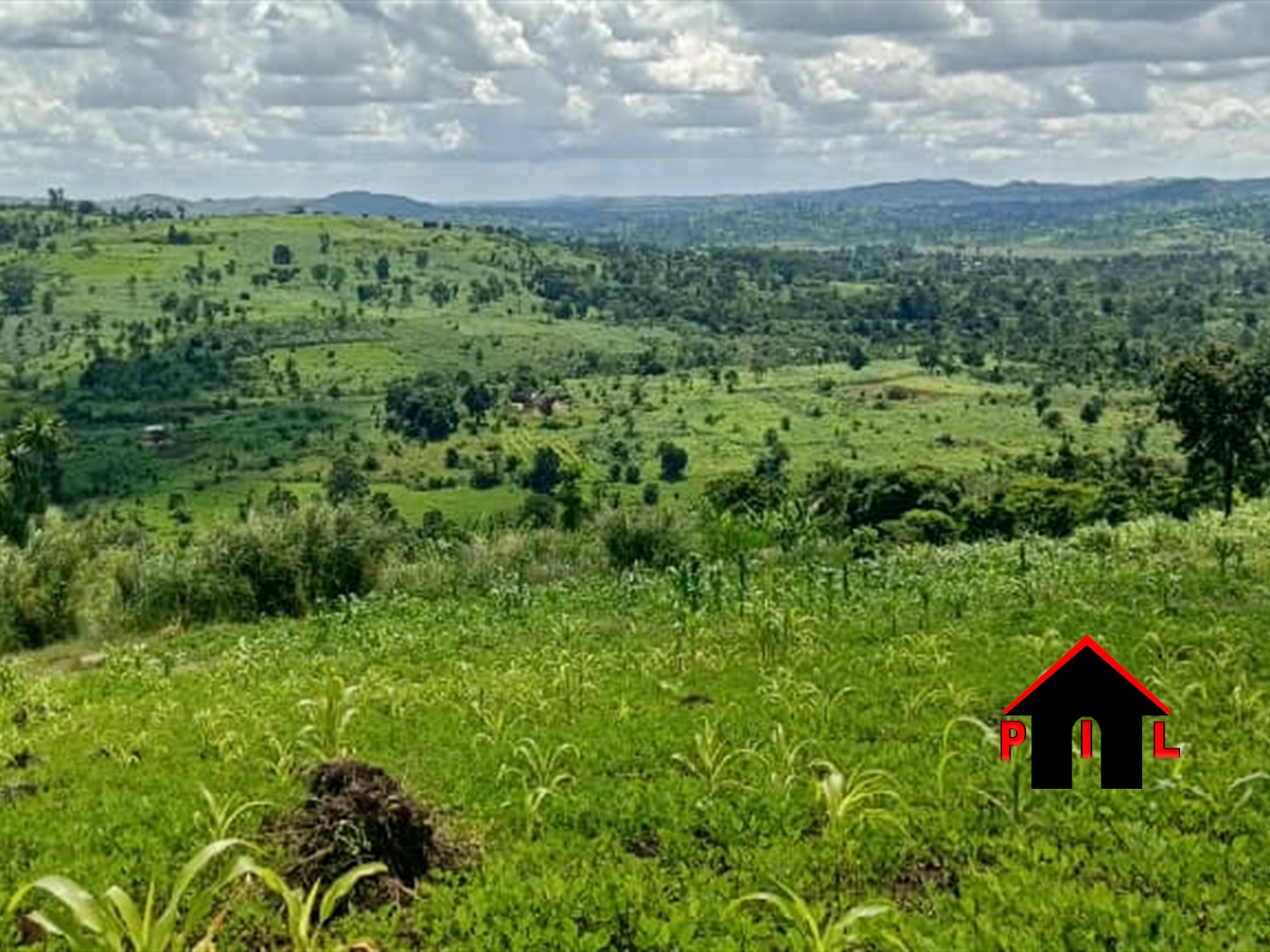 Agricultural Land for sale in Busisi Hoima