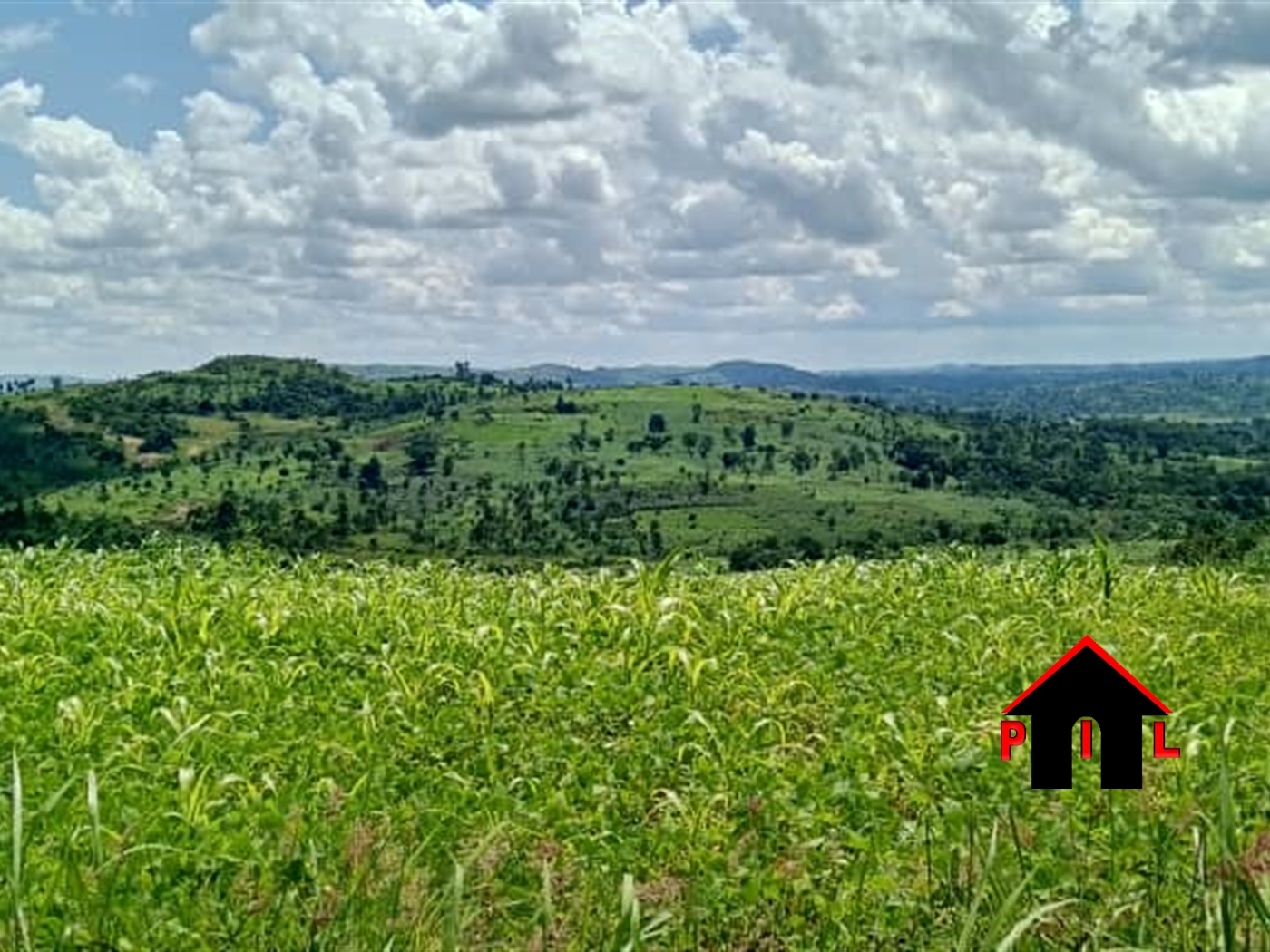 Agricultural Land for sale in Busisi Hoima