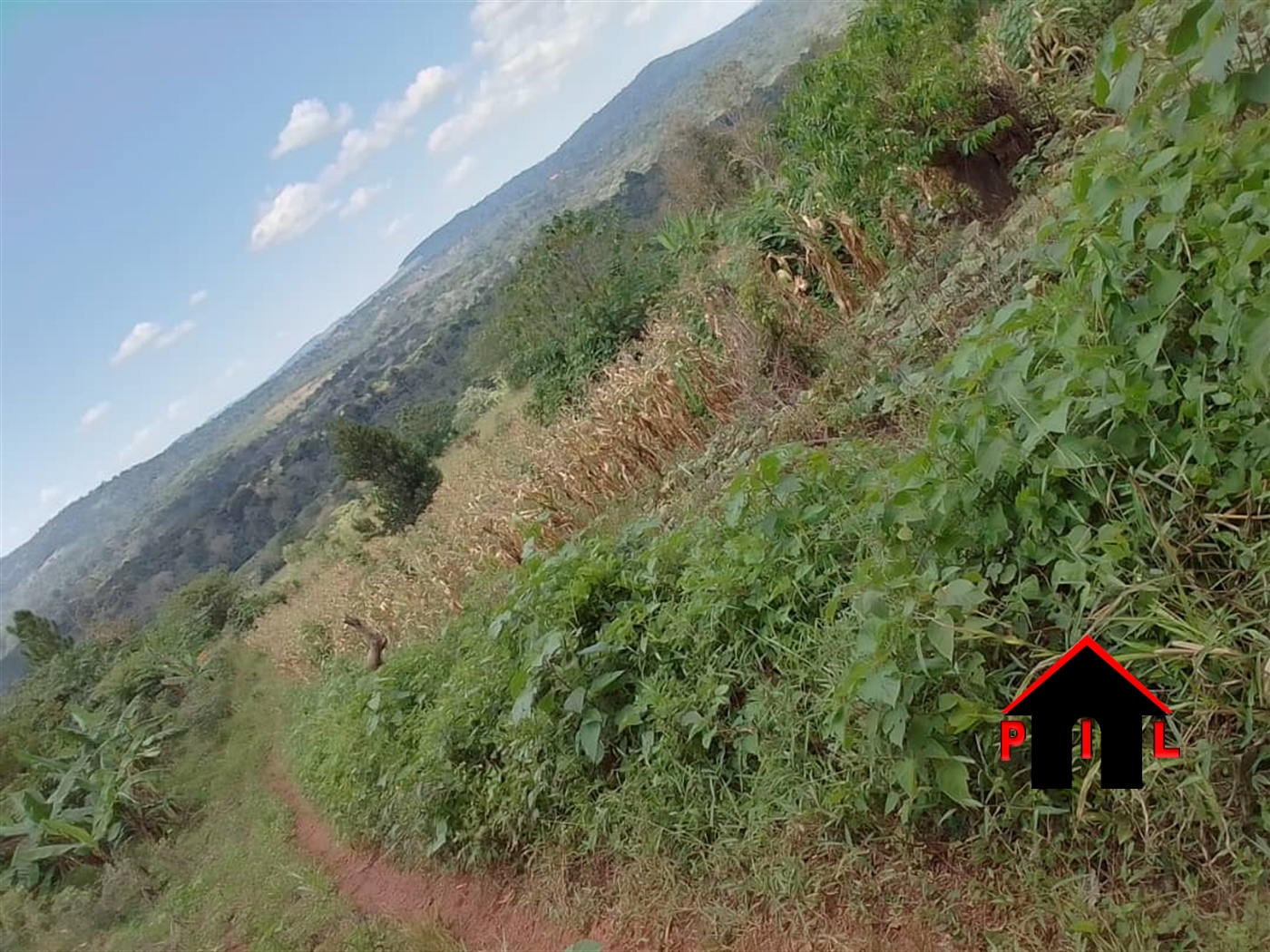 Commercial Land for sale in Mabira Buyikwe