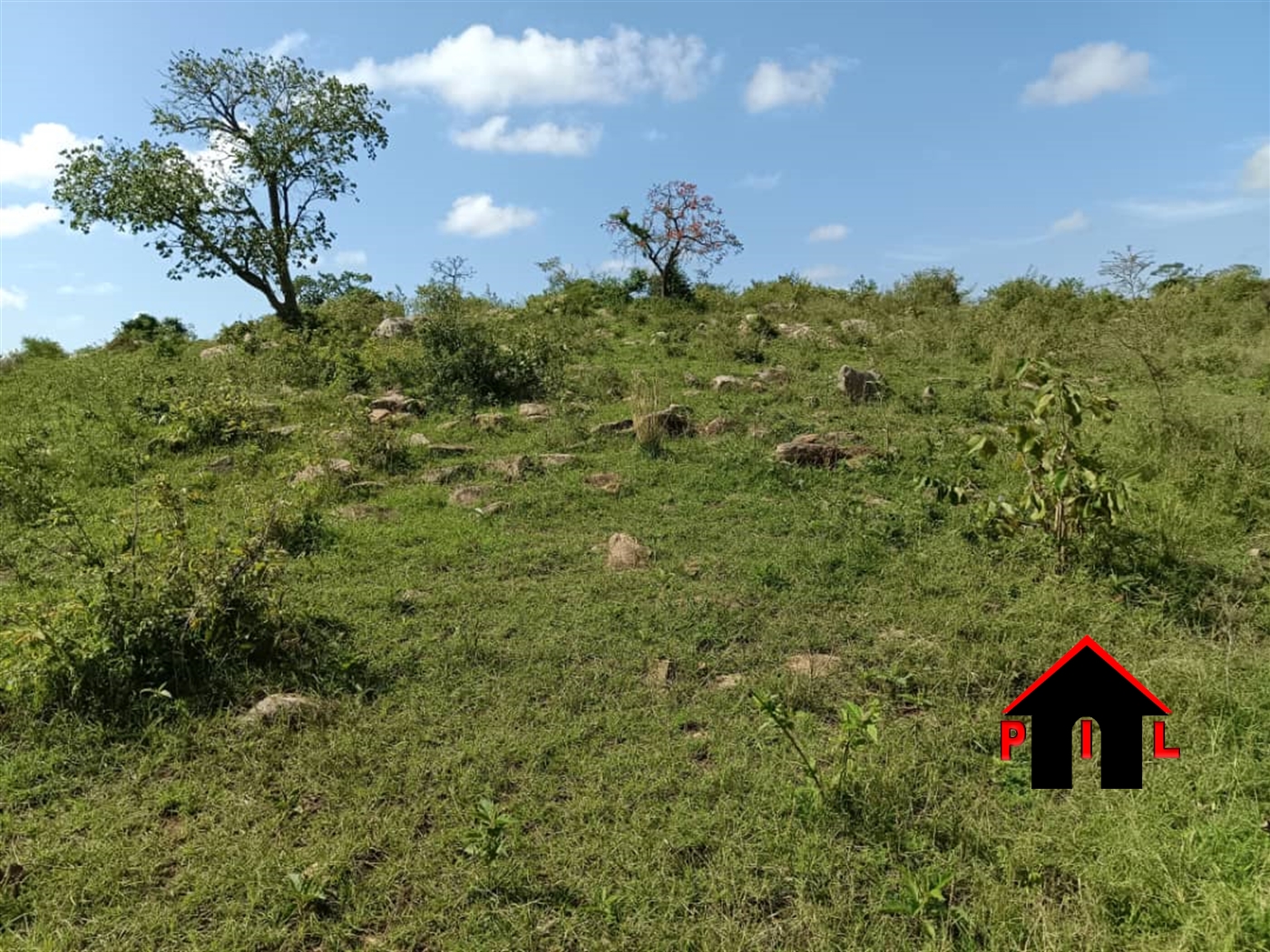 Agricultural Land for sale in Butundizi Kyenjojo