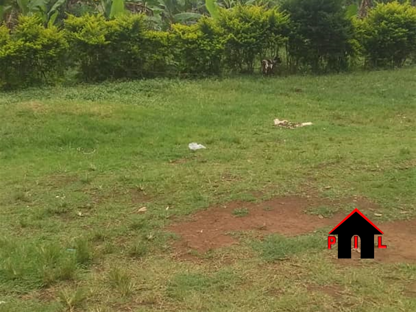 Commercial Land for sale in Kyengela Wakiso