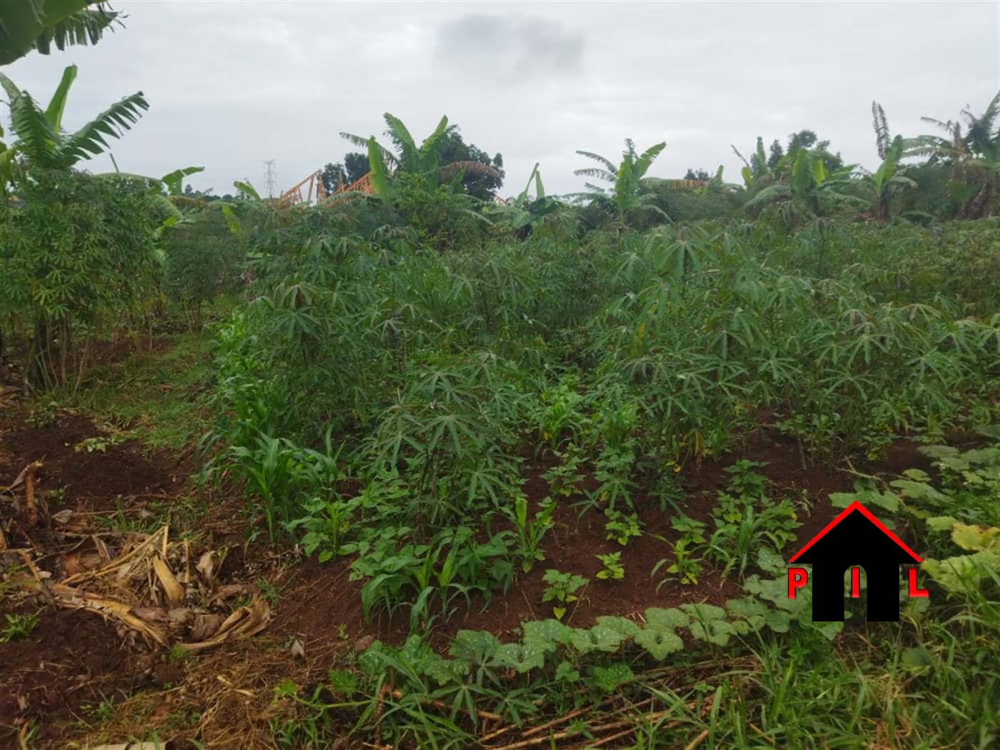 Commercial Land for sale in Nabusungwe Mukono