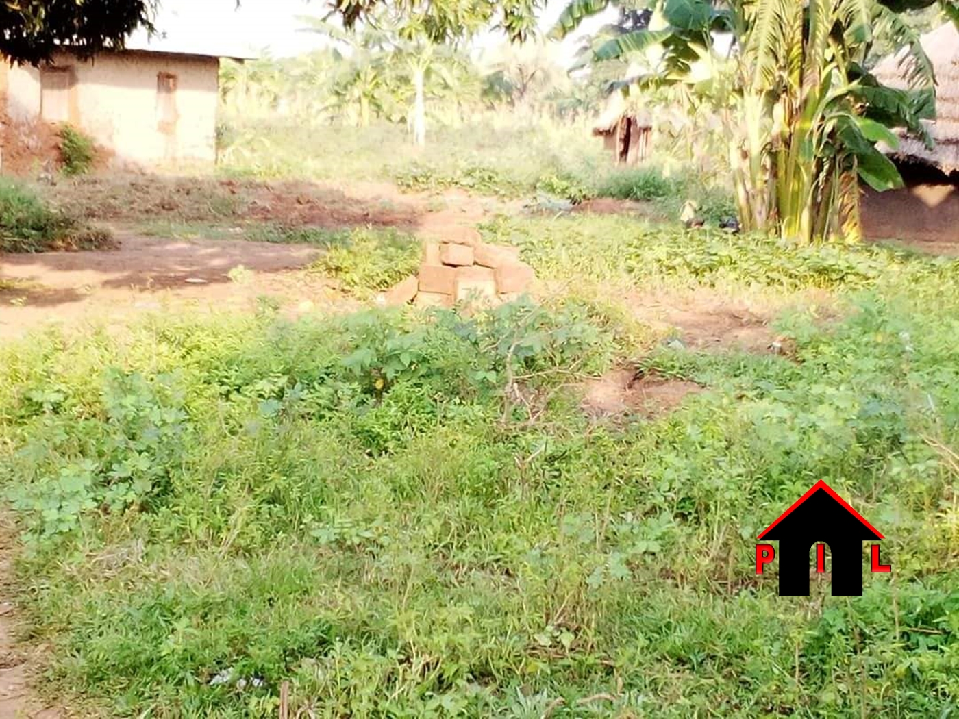 Commercial Land for sale in Pakwach Pallisa