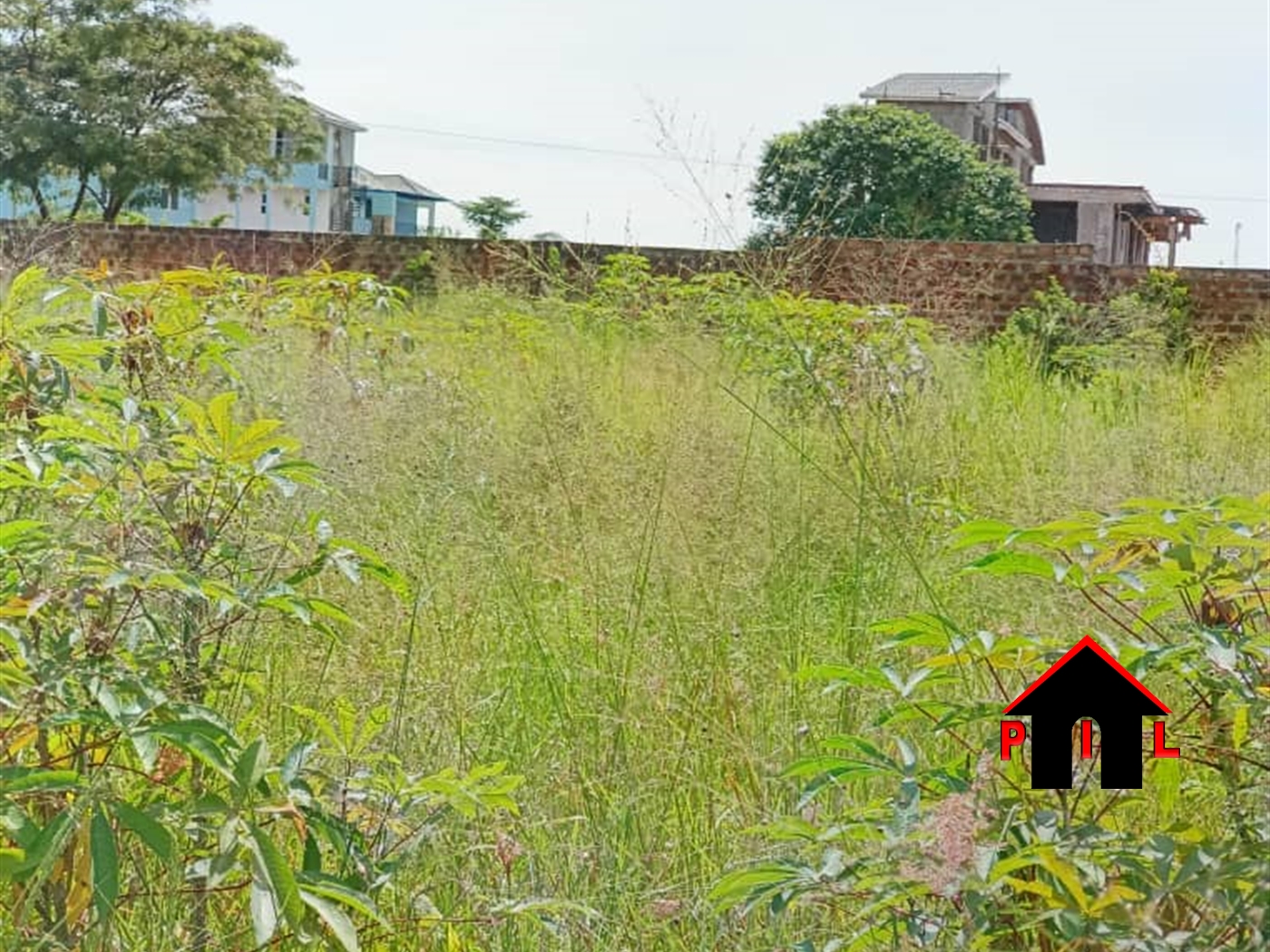 Residential Land for sale in Rwebishuri Busheenyi