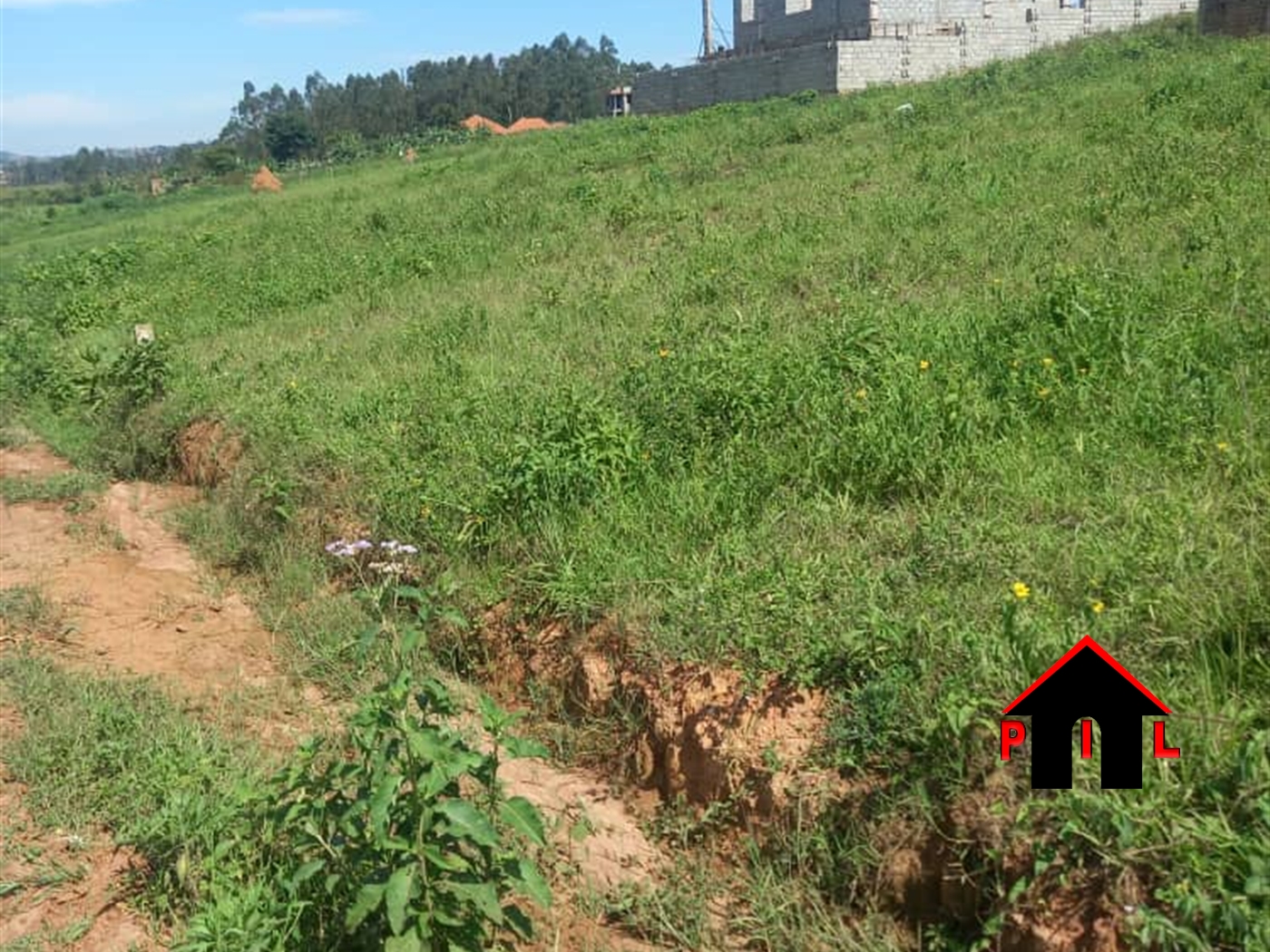 Commercial Land for sale in Buwaya Mayuge