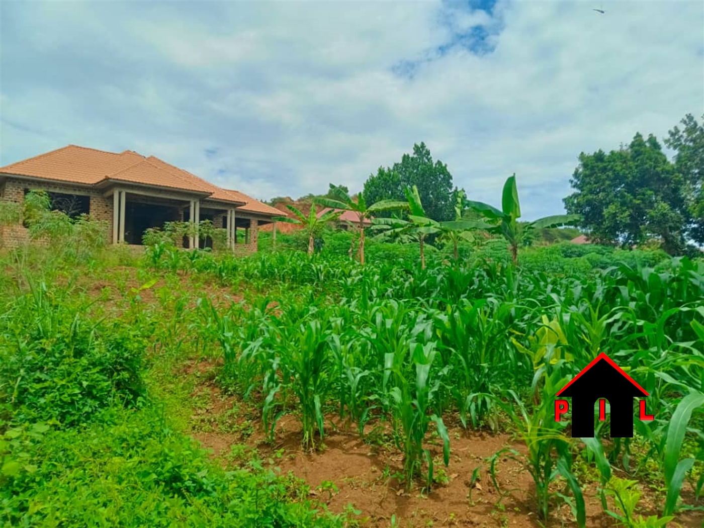 Commercial Land for sale in Nsuube Mukono