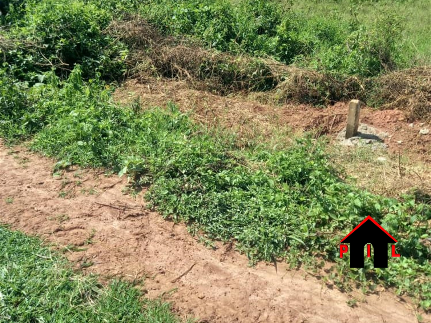 Commercial Land for sale in Lokabar Agago