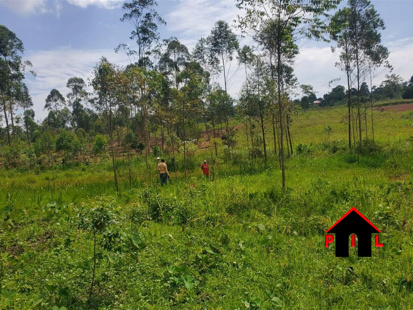 Commercial Land for sale in Bukedea Kumi