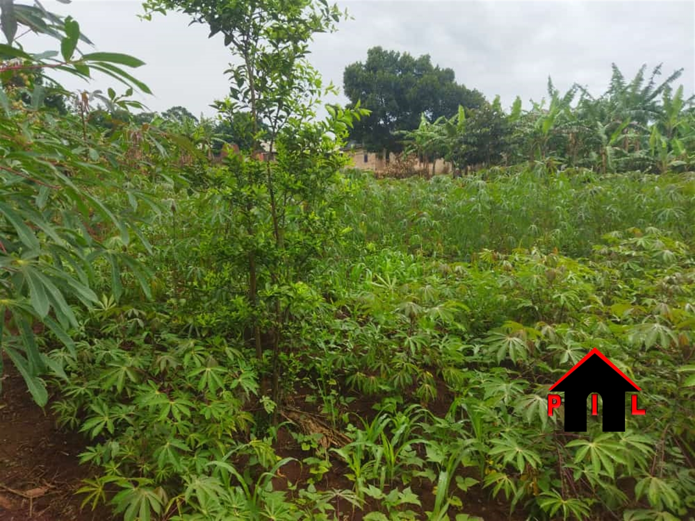 Commercial Land for sale in Nabusugwe Wakiso