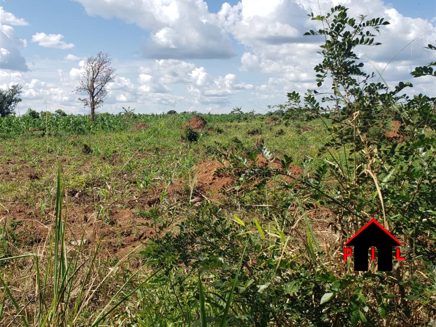 Commercial Land for sale in Bukanga Isingilo