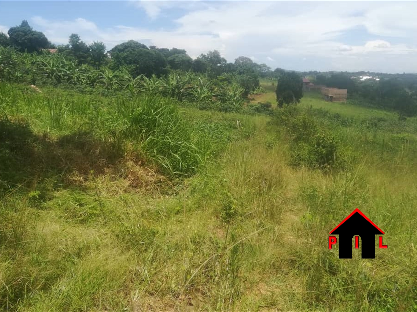 Commercial Land for sale in Alero Nwoya