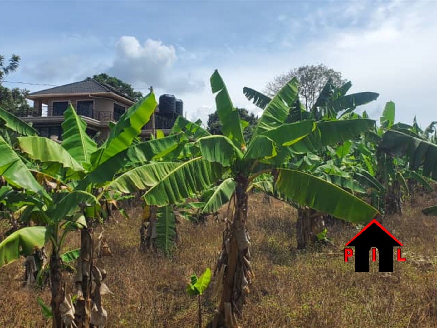 Agricultural Land for sale in Kidera Apac
