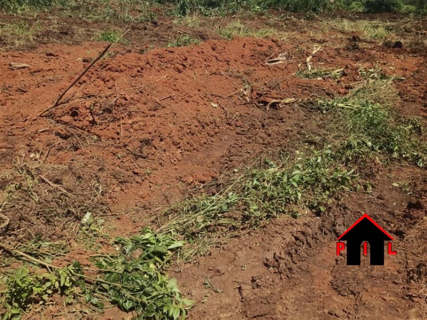 Commercial Land for sale in Kasozi Luweero