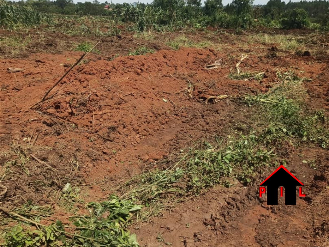Commercial Land for sale in Kasozi Luweero