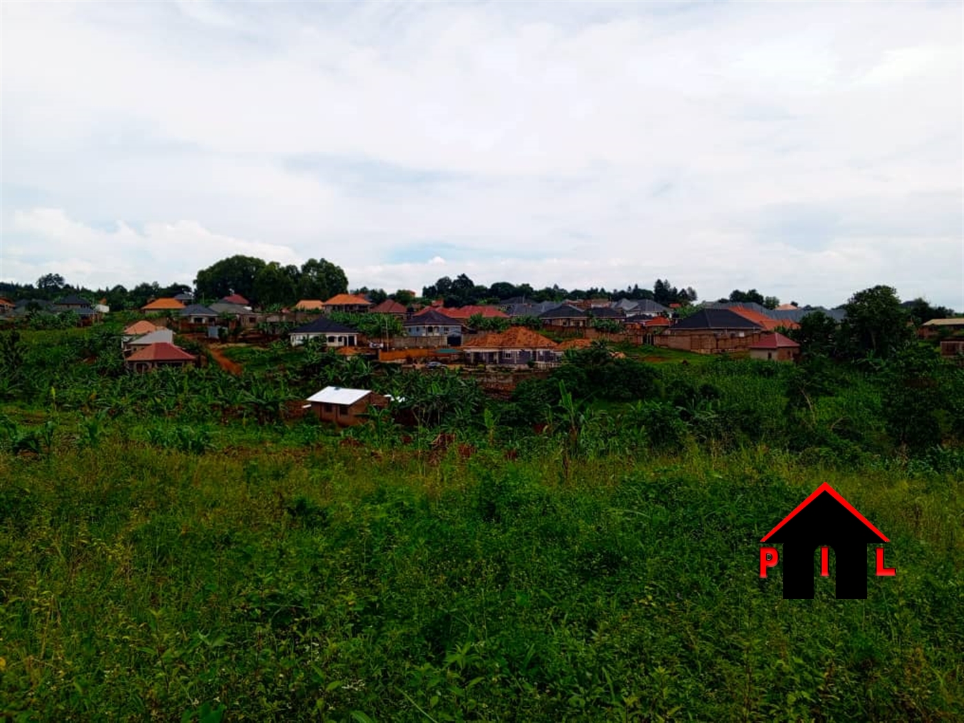 Agricultural Land for sale in Kamutur Butaleeja
