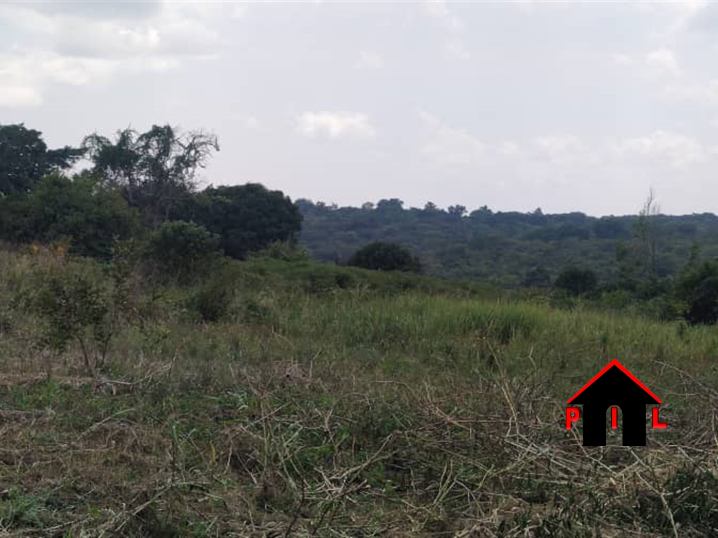 Commercial Land for sale in Albertine Masindi
