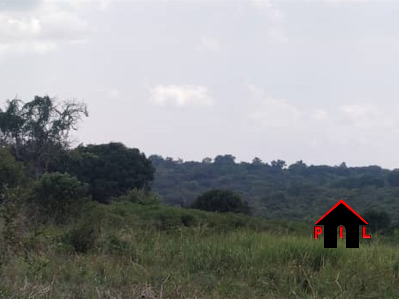 Commercial Land for sale in Albertine Masindi