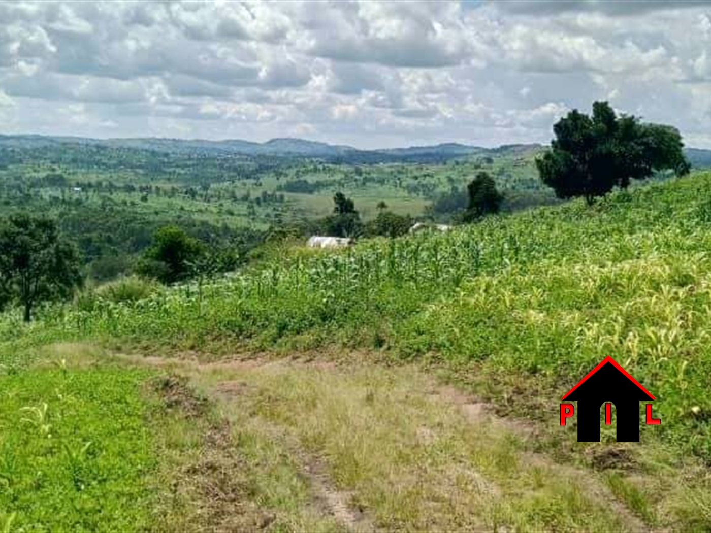 Commercial Land for sale in Makole Kyegegwa