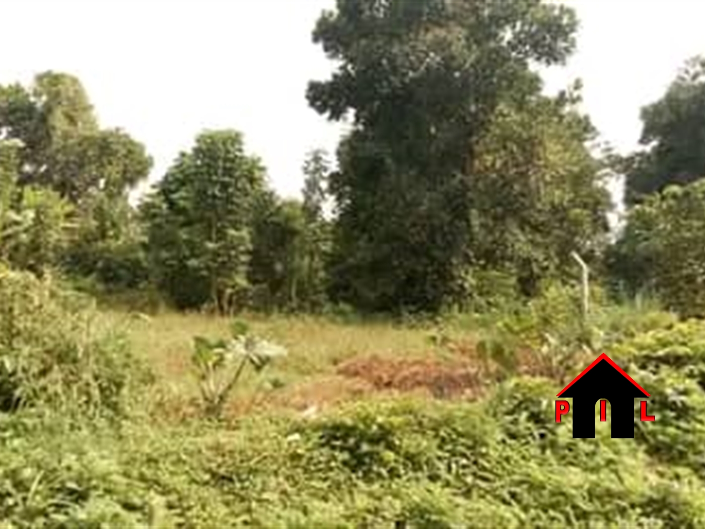 Commercial Land for sale in Kireku Mukono