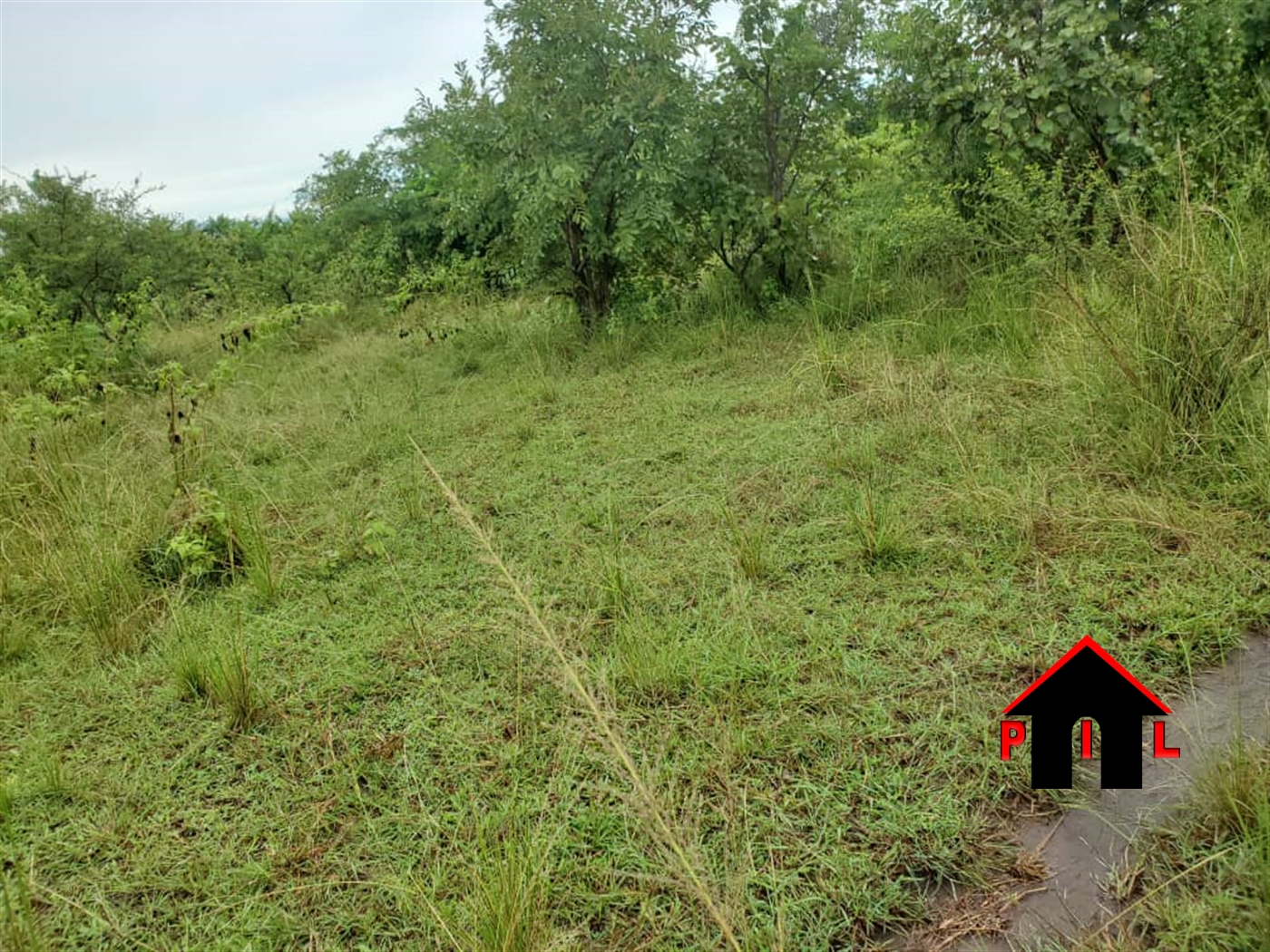 Agricultural Land for sale in Bulwanga Bulambuli