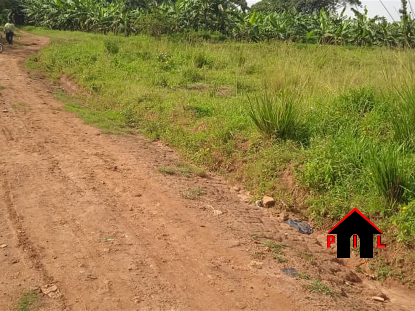 Agricultural Land for sale in Bufuni Wakiso