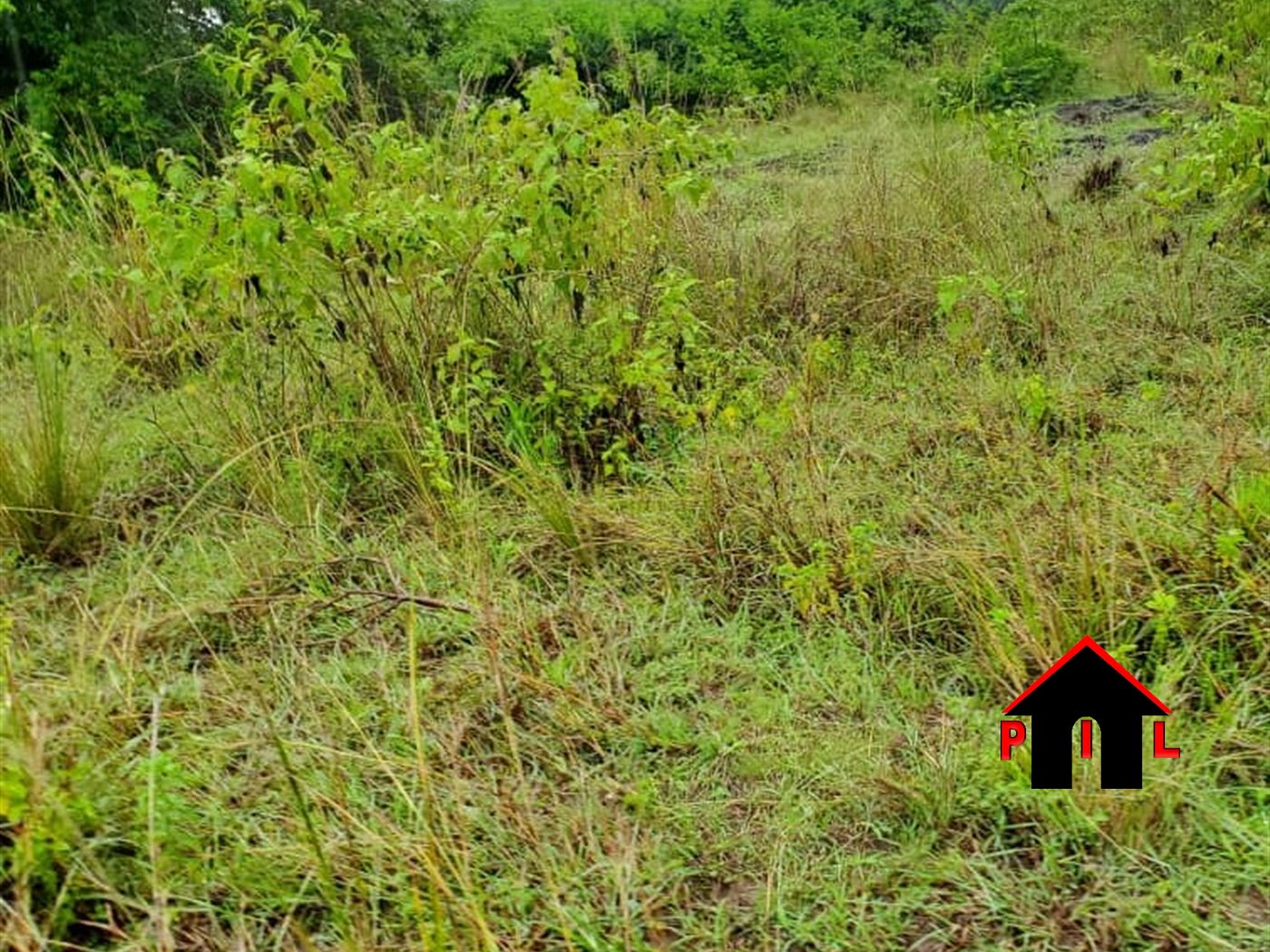 Agricultural Land for sale in Kolanorya Mbarara