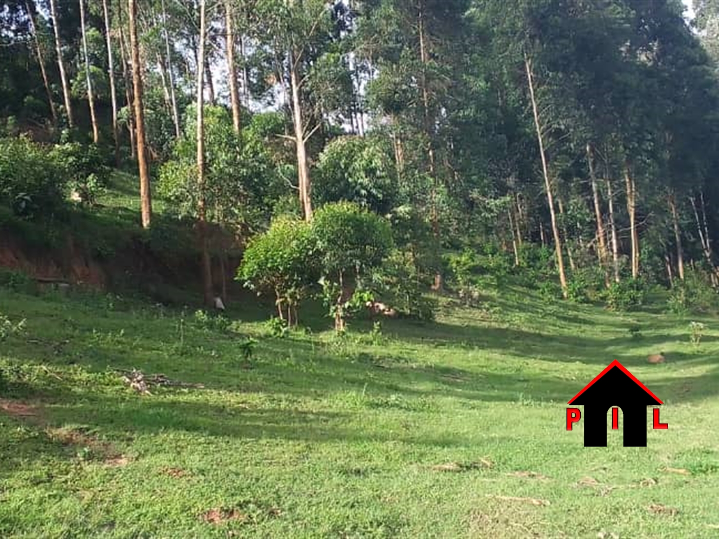 Agricultural Land for sale in Bubale Kabaale