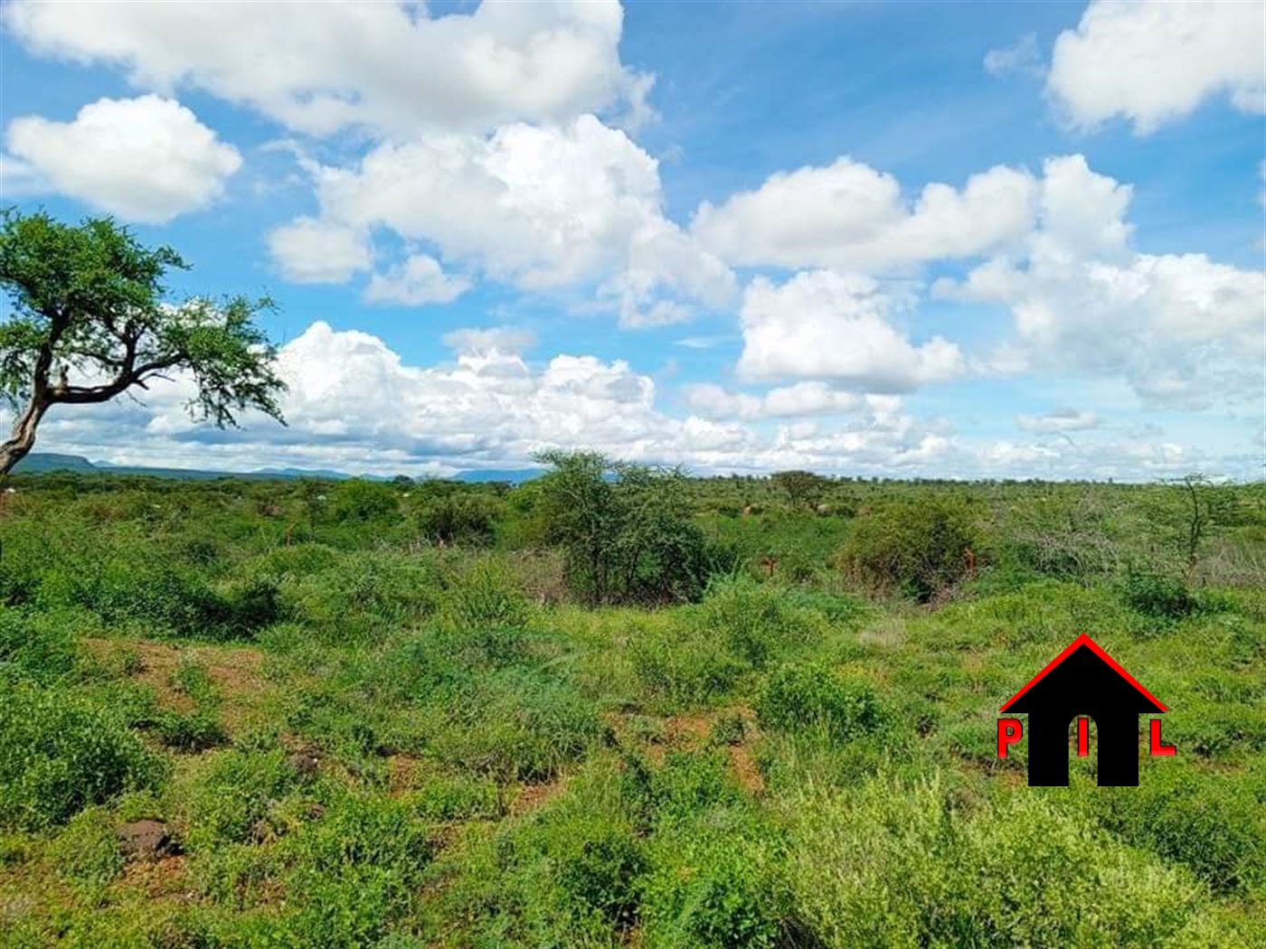 Agricultural Land for sale in Nasagaali Kamuli