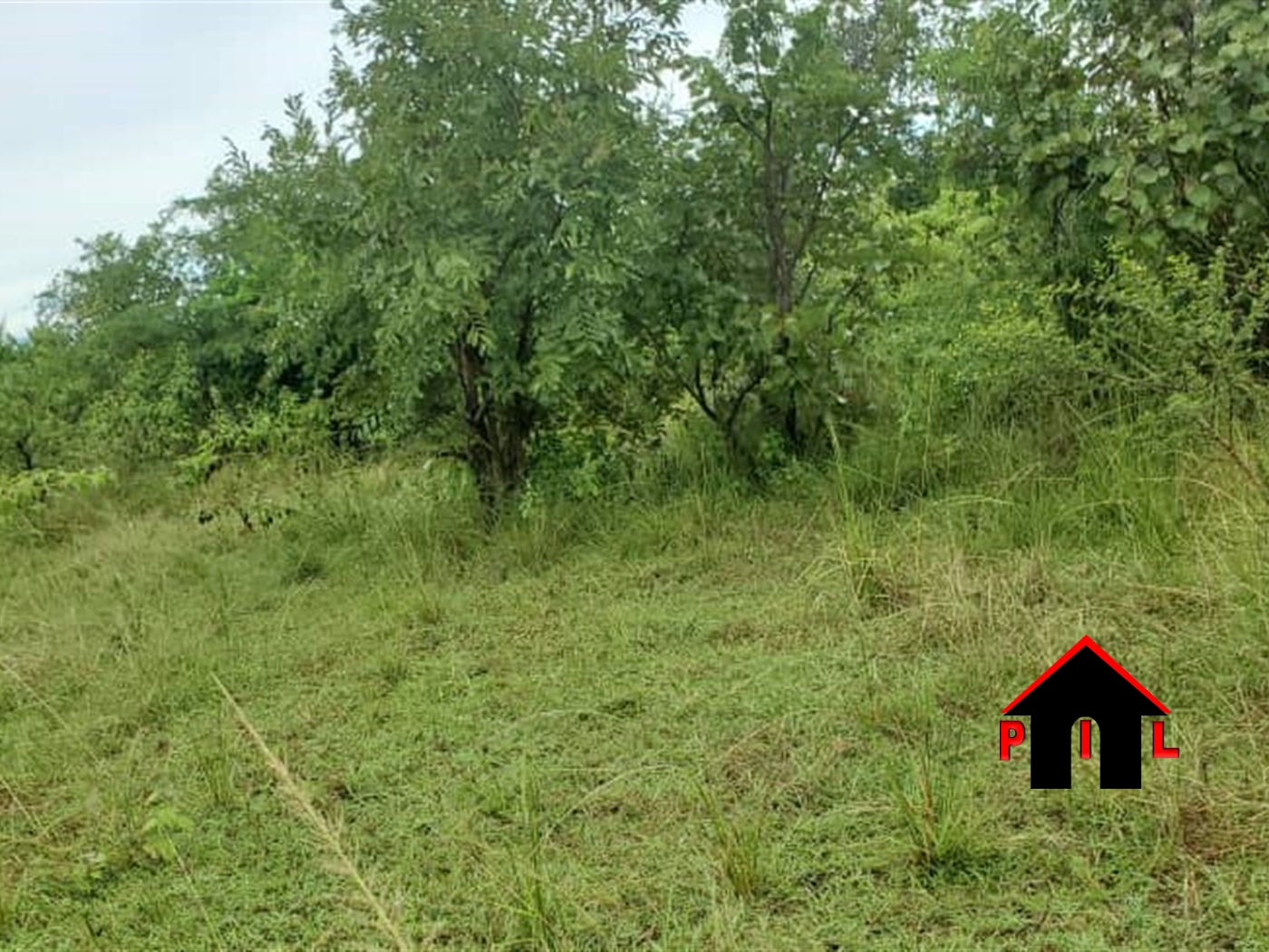 Commercial Land for sale in Nyendo Masaka