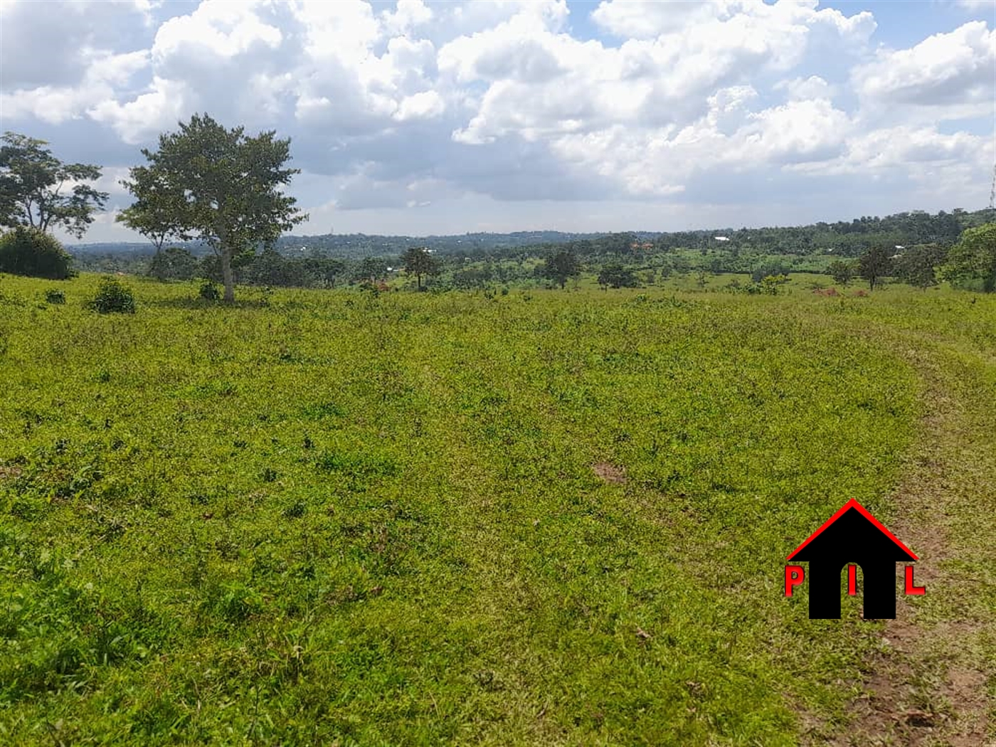 Agricultural Land for sale in Kiyunga Mukono