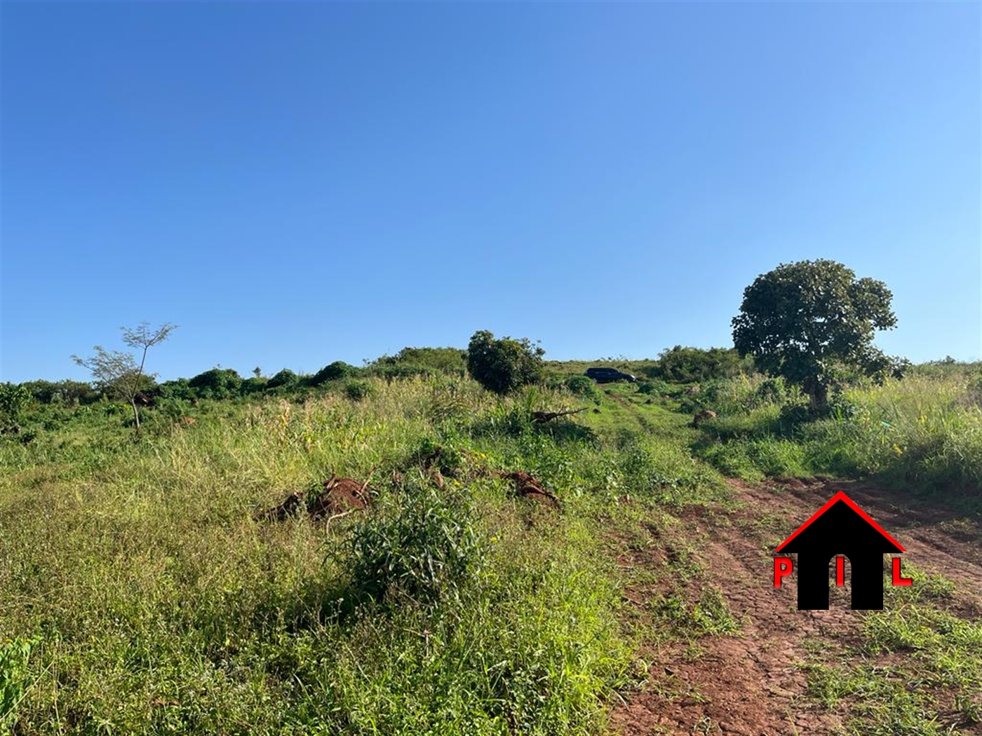 Commercial Land for sale in Kisoga Wakiso
