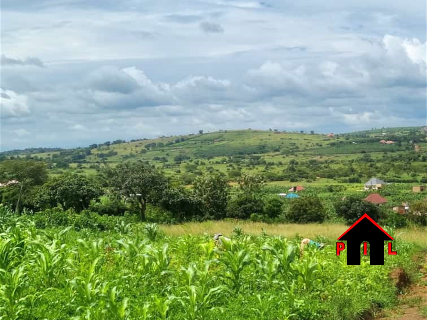 Commercial Land for sale in Rwebishuri Mbarara