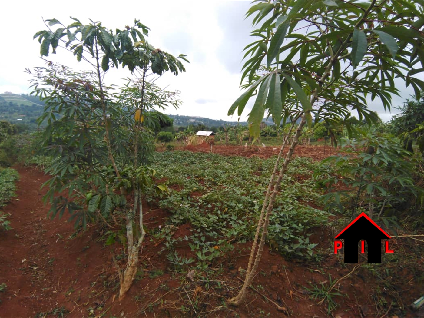 Commercial Land for sale in Jjokolera Kayunga