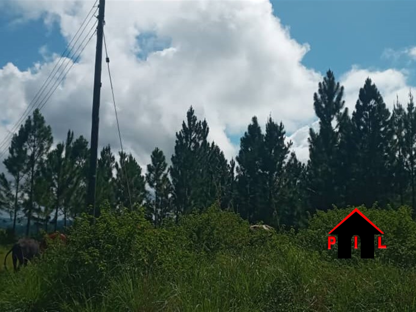 Commercial Land for sale in Kabengo Mpigi