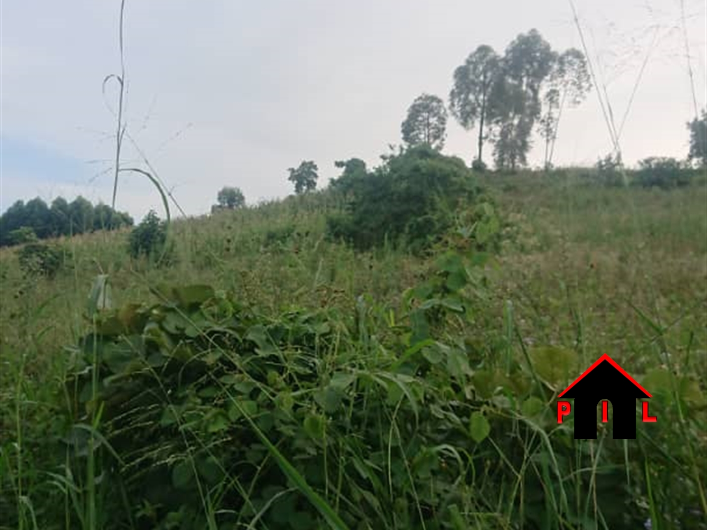 Commercial Land for sale in Gobelo Wakiso