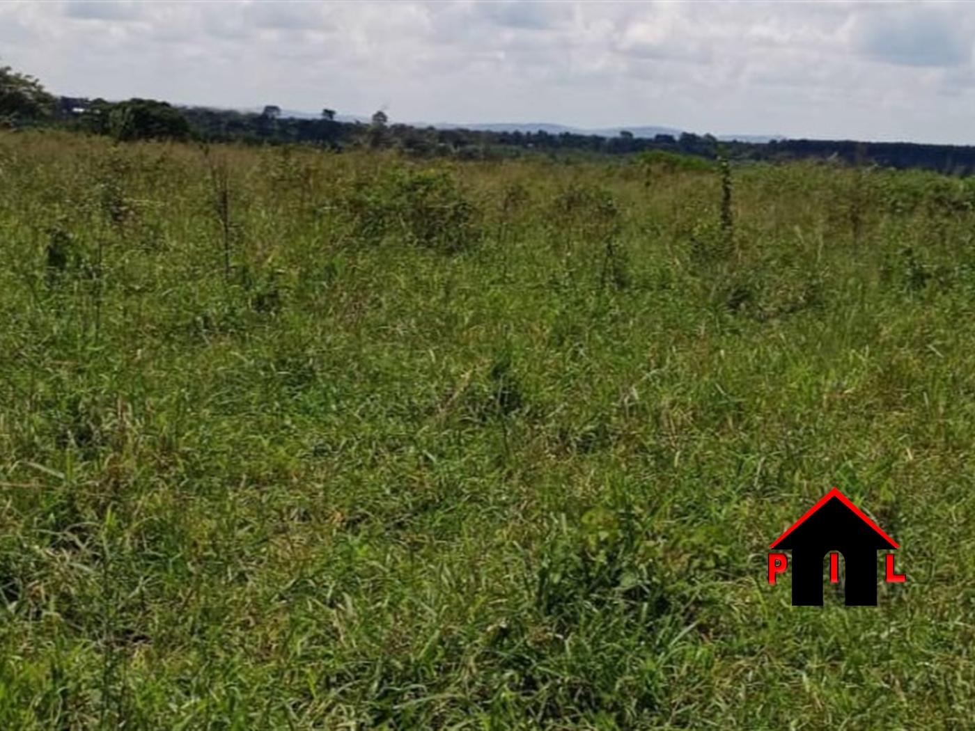 Commercial Land for sale in Kamuuli Wakiso