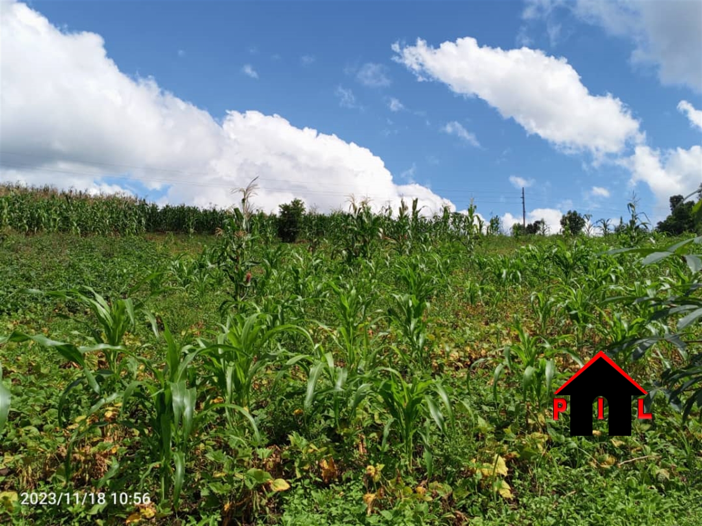 Agricultural Land for sale in Kigoogwa Wakiso