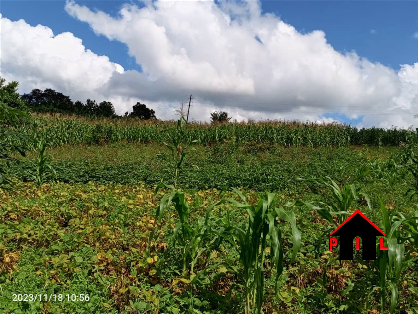 Agricultural Land for sale in Kigoogwa Wakiso
