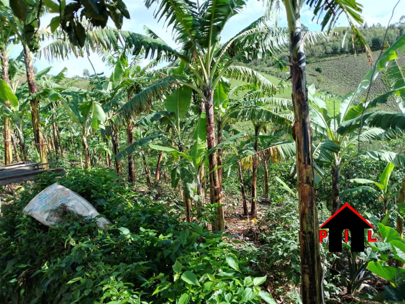 Agricultural Land for sale in Ndazabazadde Wakiso