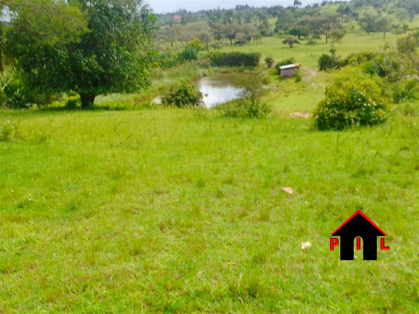 Agricultural Land for sale in Muluganda Kamwenge
