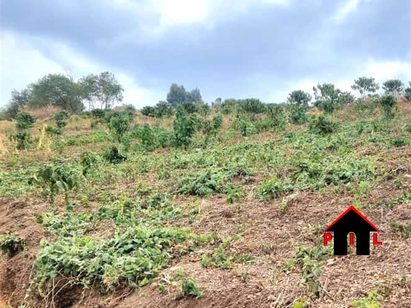 Commercial Land for sale in Koranorya Mbarara
