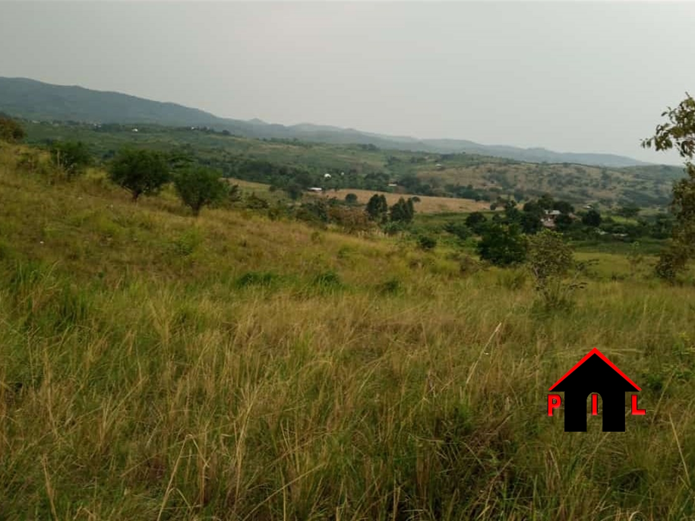 Farm for sale in Karugutu Hoima