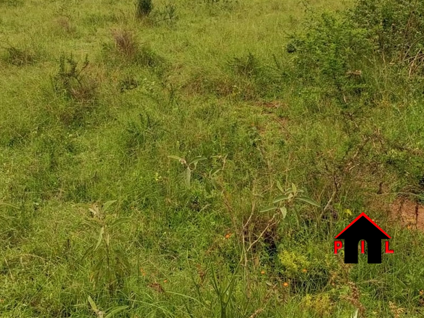 Residential Land for sale in Kabaare Isingilo