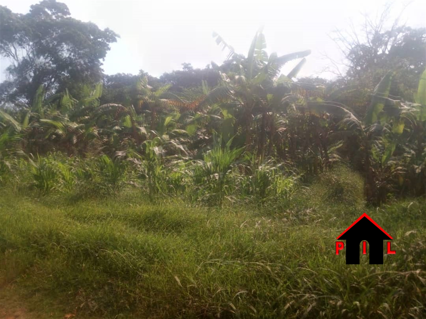 Agricultural Land for sale in Kimaga Nakasongola