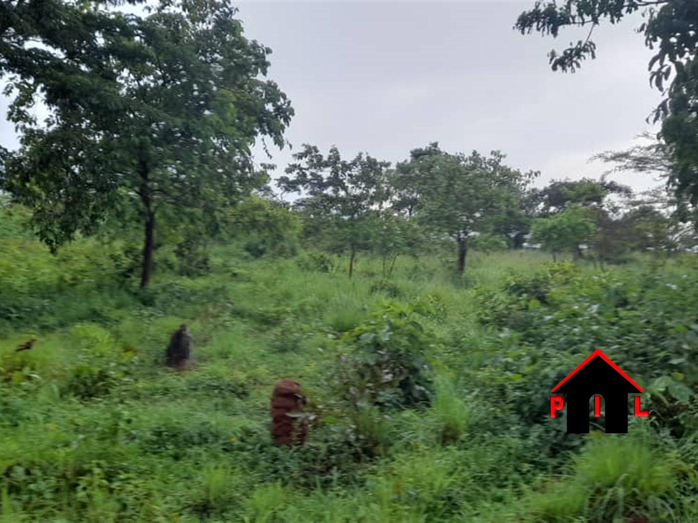 Commercial Land for sale in Butuntumula Luweero