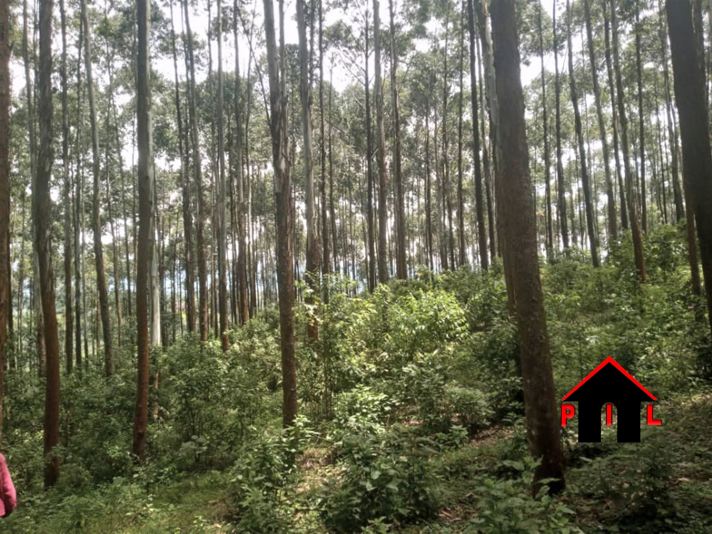 Commercial Land for sale in Rwaihamba Kabarole