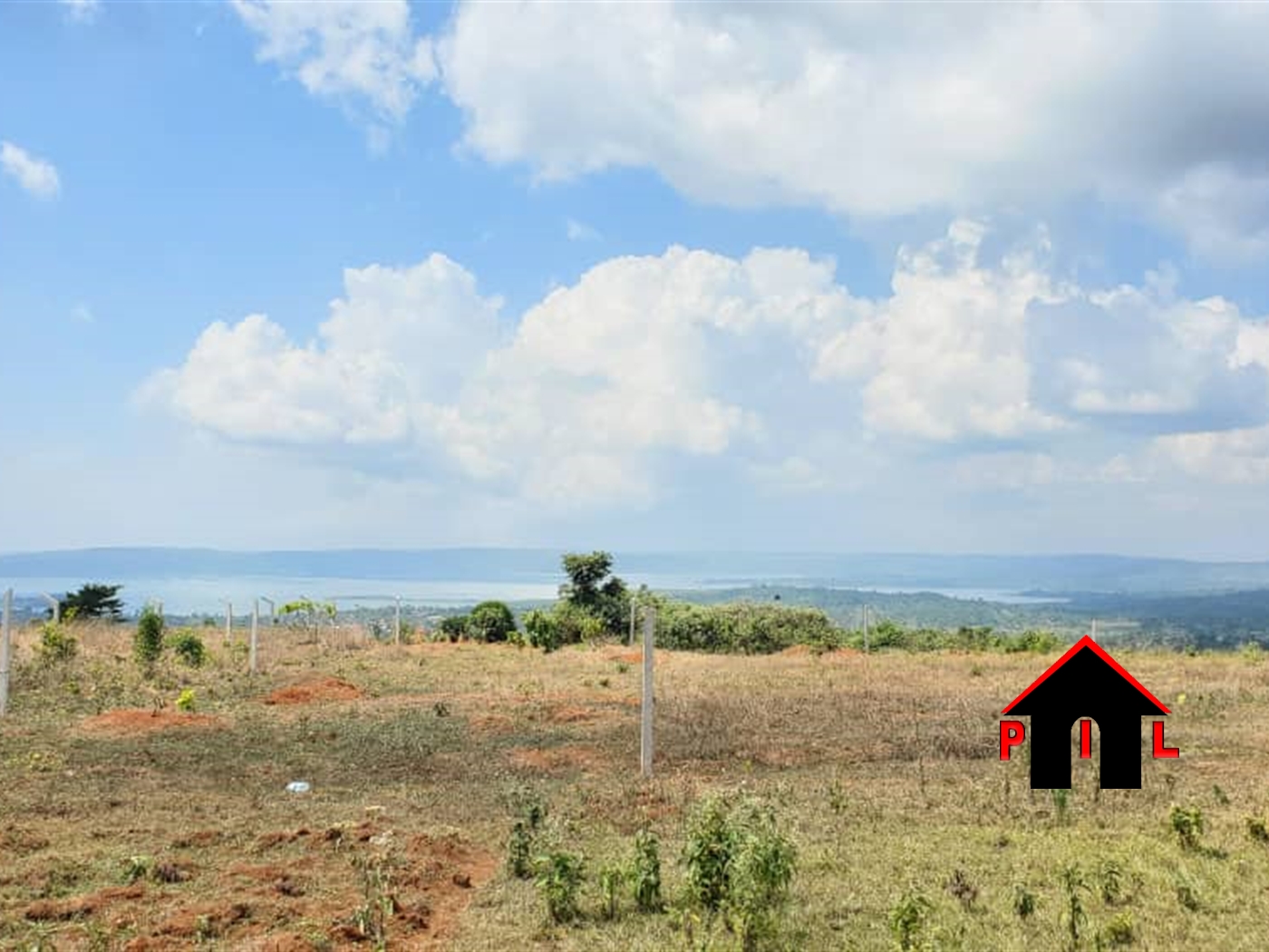 Commercial Land for sale in Kiyindi Wakiso